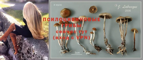 a pvp Балабаново