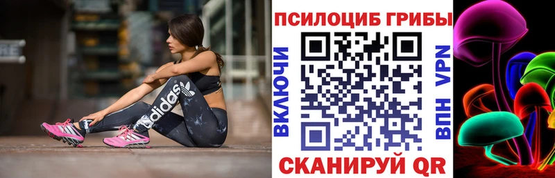 кракен вход  даркнет Telegram  Псилоцибиновые грибы прущие грибы  Черногорск 