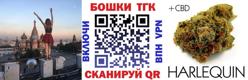 Конопля семена купить наркотик Черногорск